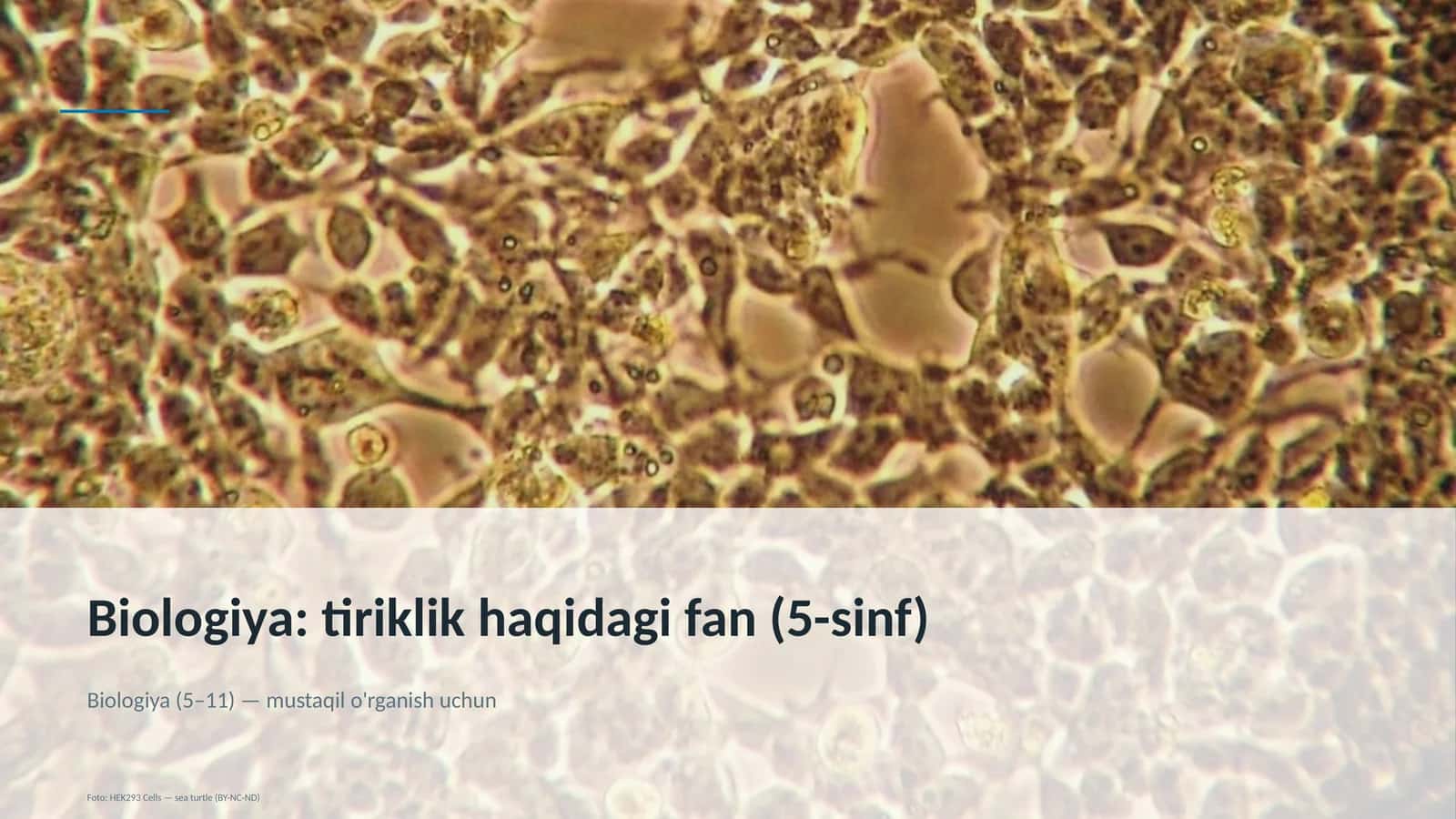Biologiya: tiriklik haqidagi fan (5-sinf)