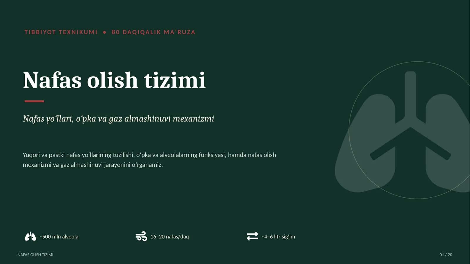 Nafas olish tizimi