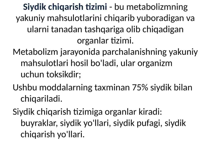 Siydik chiqarish tizimi