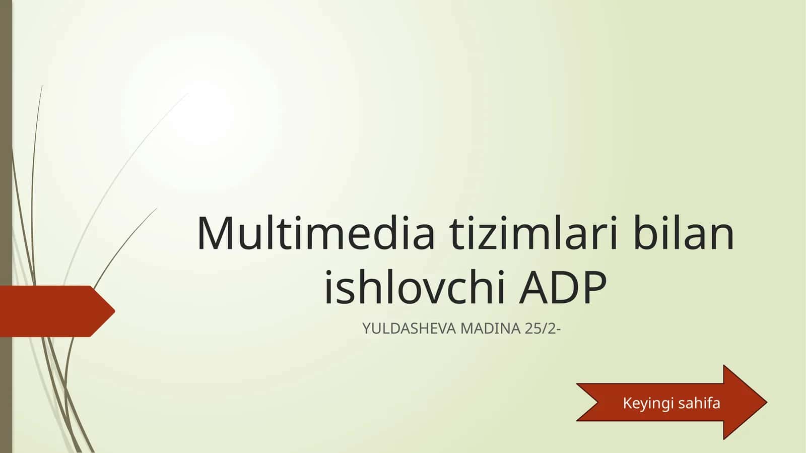 Multimedia tizimlari bilan ishlovchi ADP
