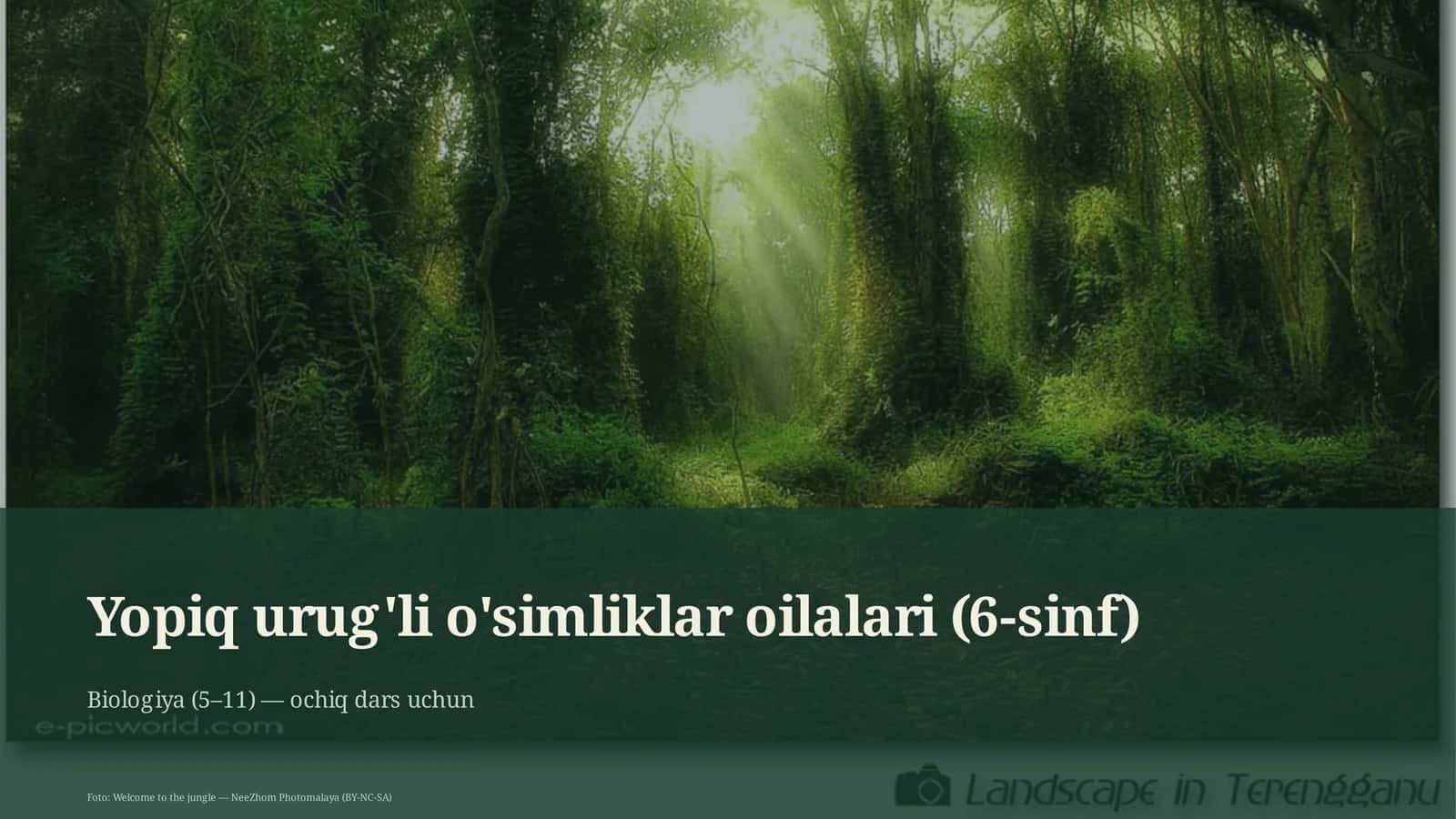 Yopiq urug'li o'simliklar oilalari (6-sinf)