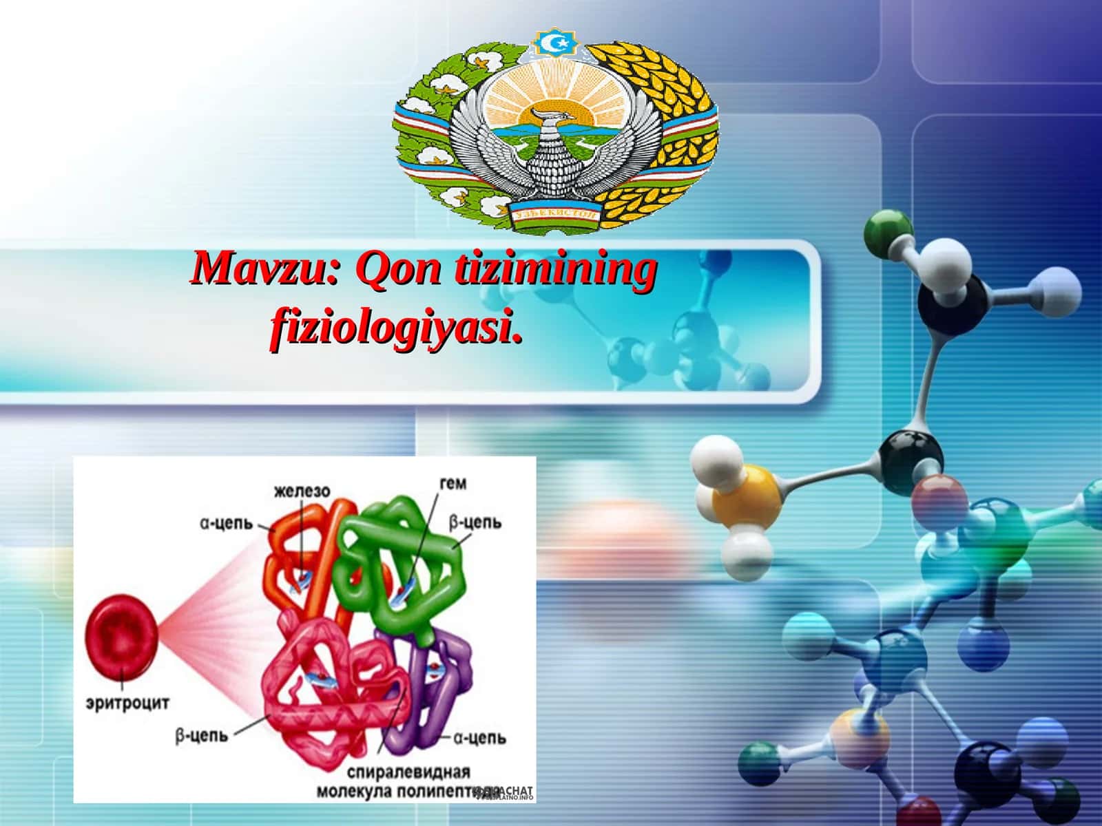 Qon tizimining fiziologiyasi