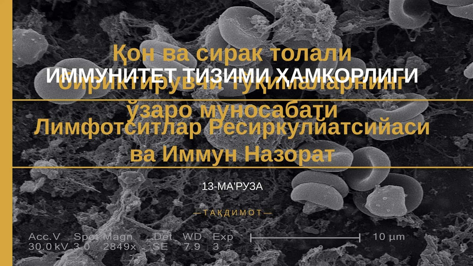 ИММУНИТЕТ ТИЗИМИ ҲАМКОРЛИГИ