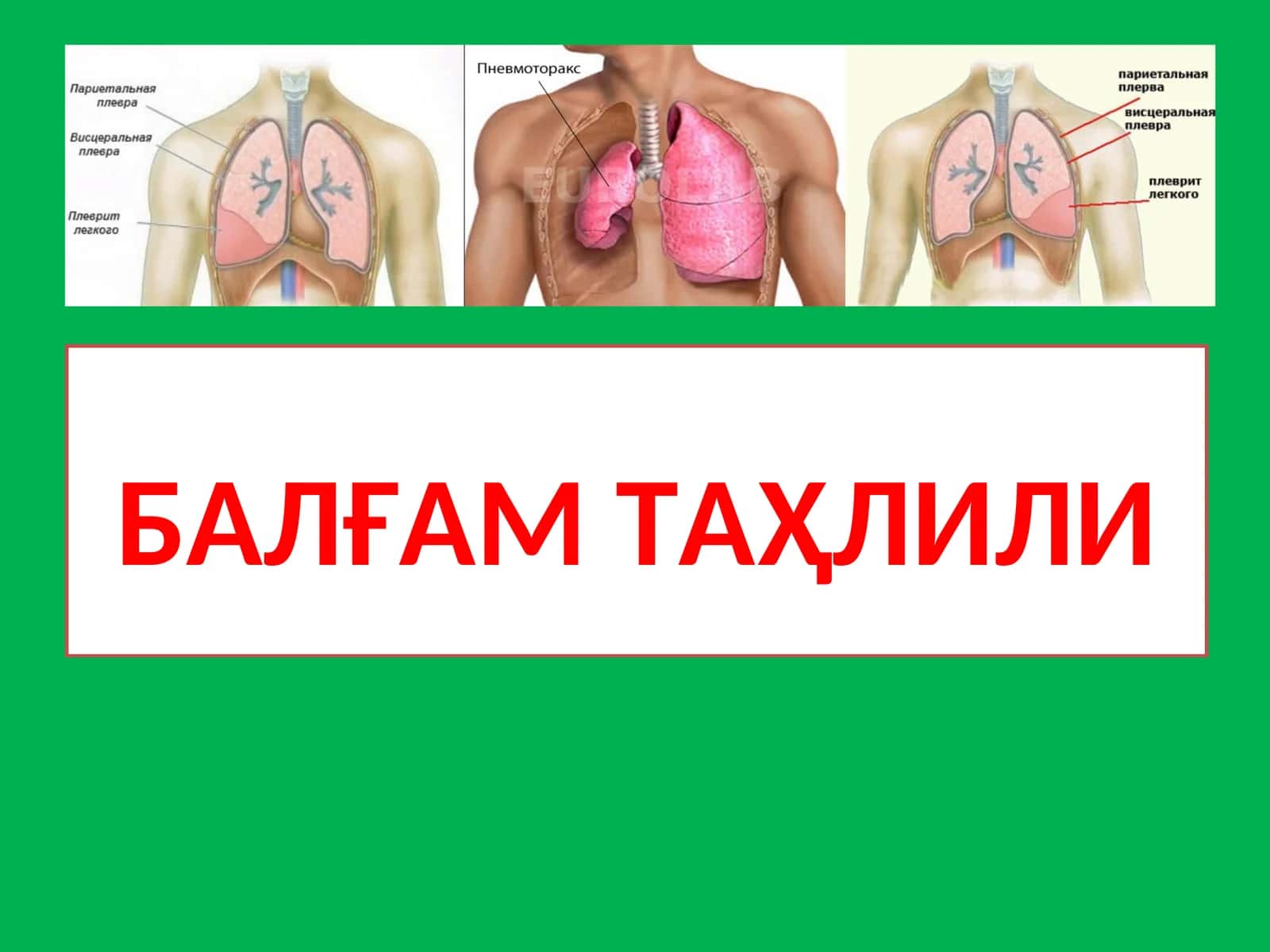 БАЛҒАМ ТАҲЛИЛИ