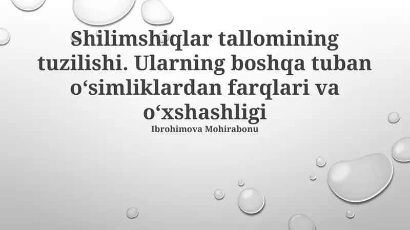 Shilimshiqlar tallomining tuzilishi