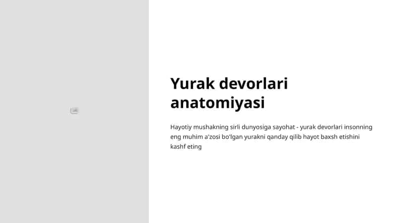 Yurak devorlari anatomiyasi