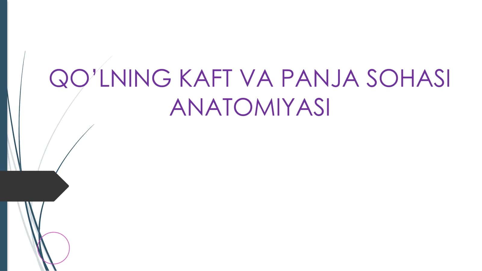 QO’LNING KAFT VA PANJA SOHASI ANATOMIYASI