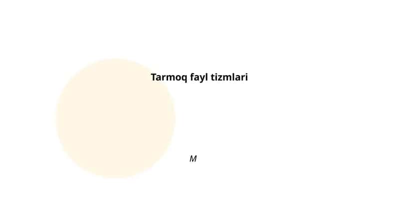 Tarmoq fayl tizmlari
