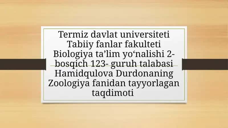 Monoplakoforalar