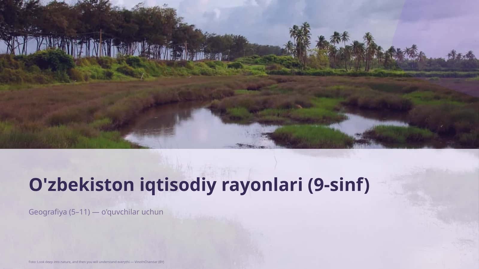 O'zbekiston iqtisodiy rayonlari (9-sinf)