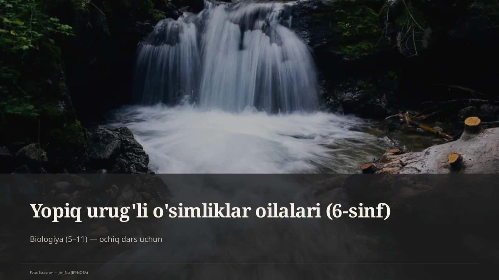 Yopiq urug'li o'simliklar oilalari (6-sinf)