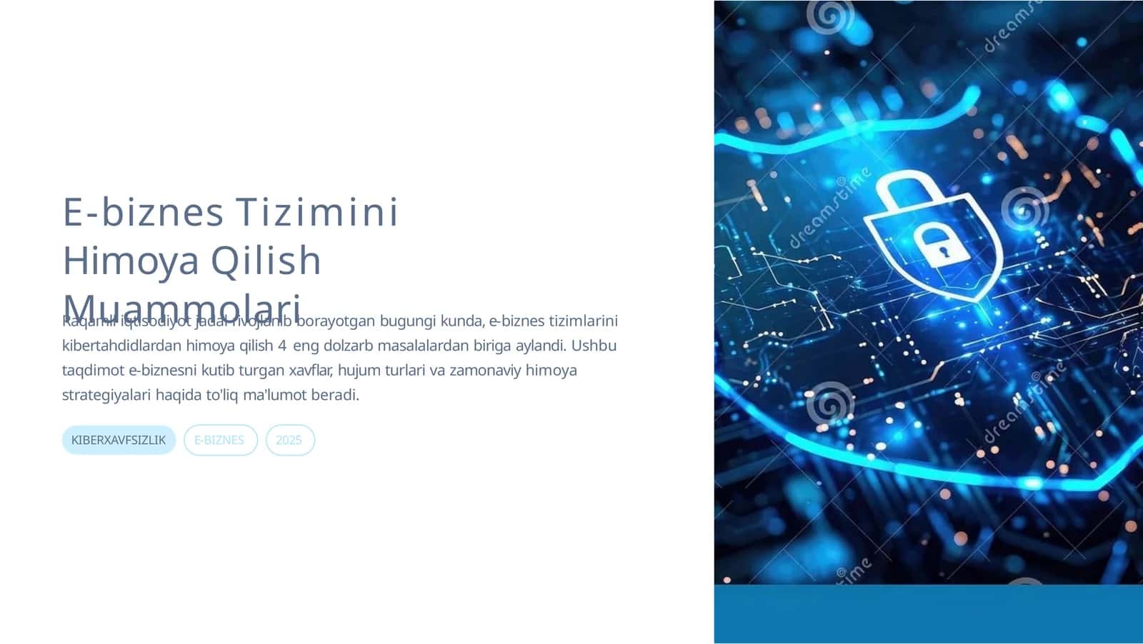 Muammolari E-biznes Tizimini Himoya Qilish