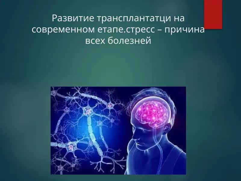 Развитие трансплантатци на современном етапе.стресс – причина всех болезней