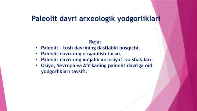 Paleolit davri arxeologik yodgorliklari