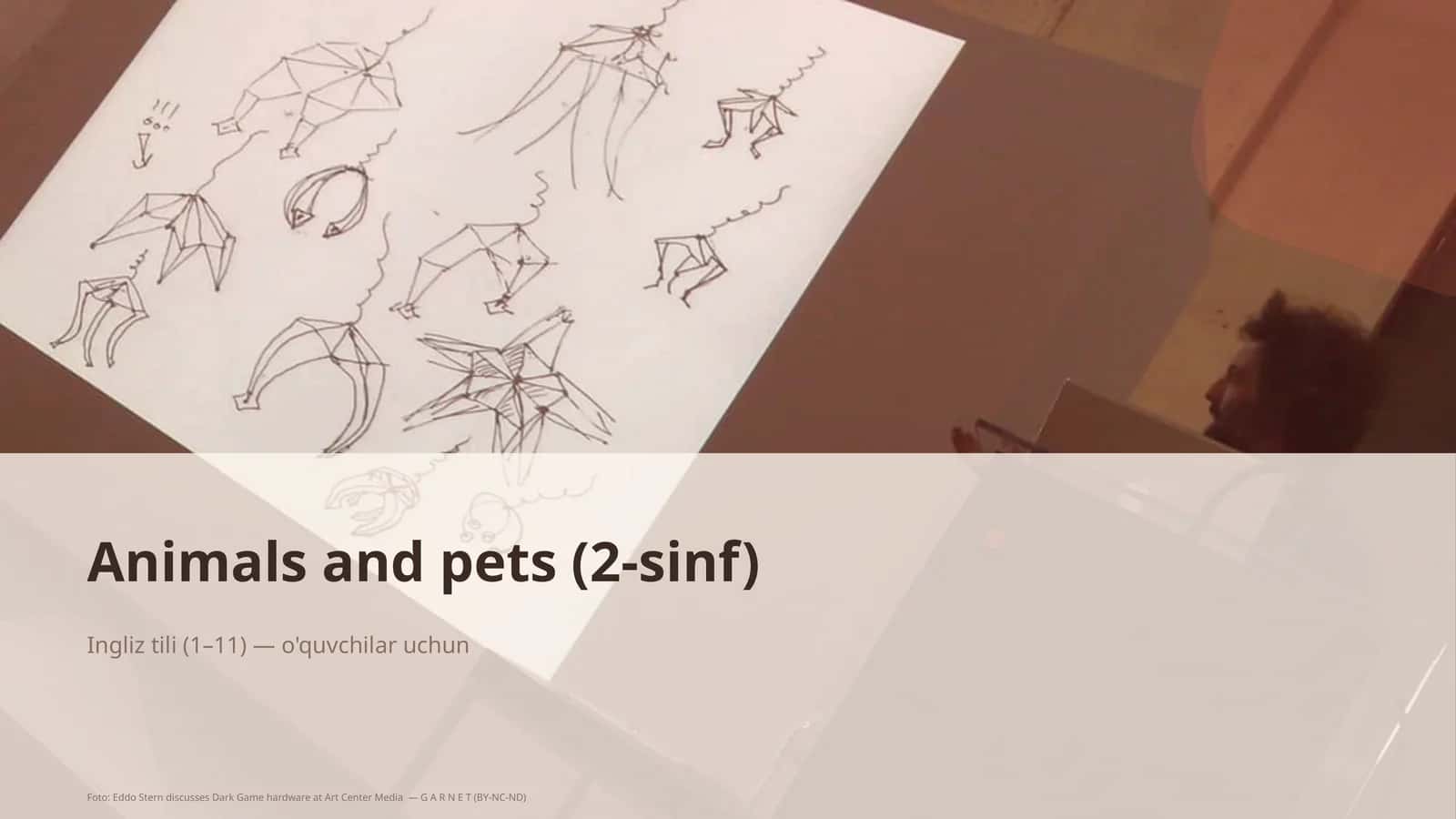 Animals and pets (2-sinf)