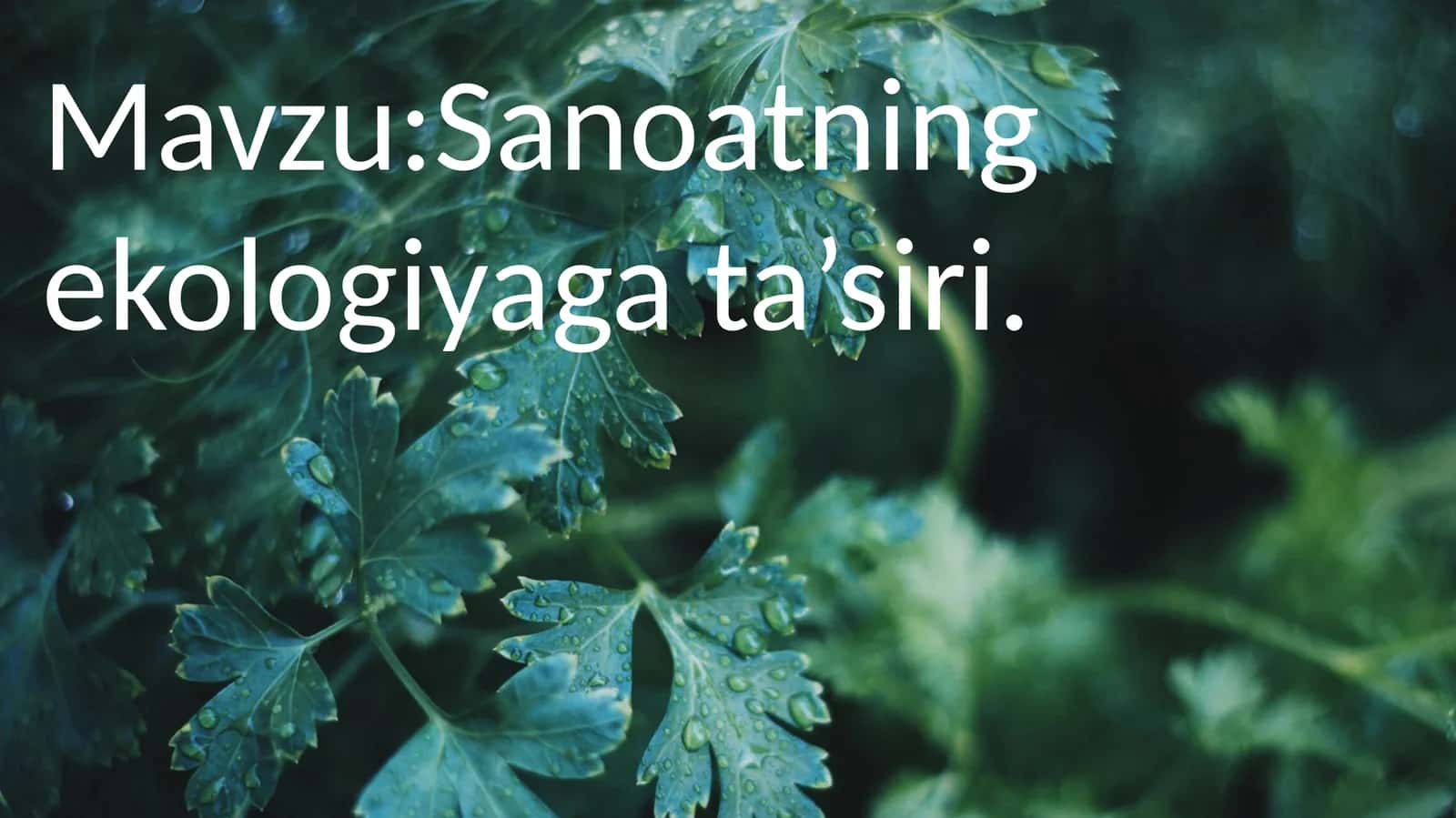 Sanoatning ekologiyaga ta’siri