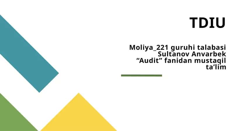 Audit turlari va funksional tasniflari