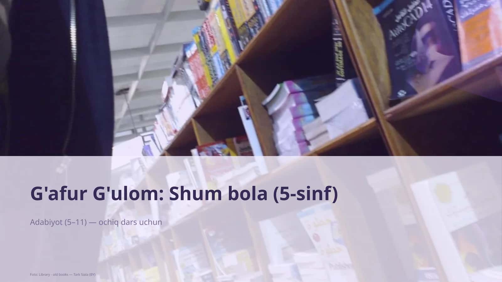 G'afur G'ulom: Shum bola (5-sinf)