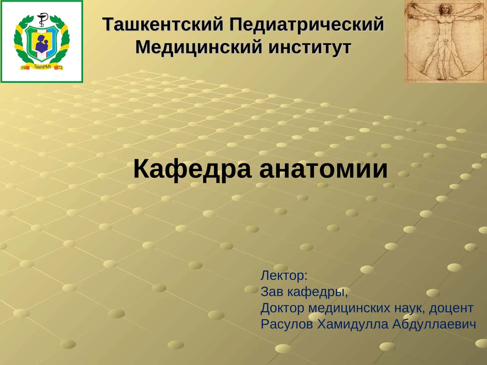 Лекция 20: Кора головного мозга