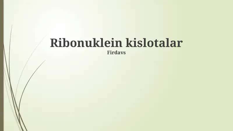 Ribonuklein kislotalar
