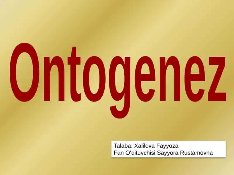 Ontogenez