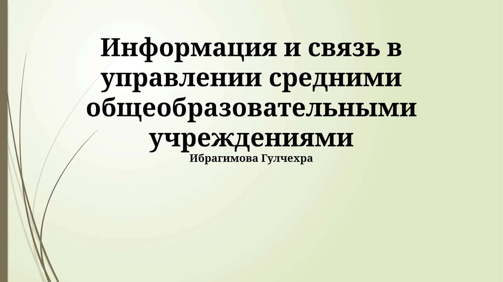 Информация и связь в управлении средними общеобразовательными учреждениями