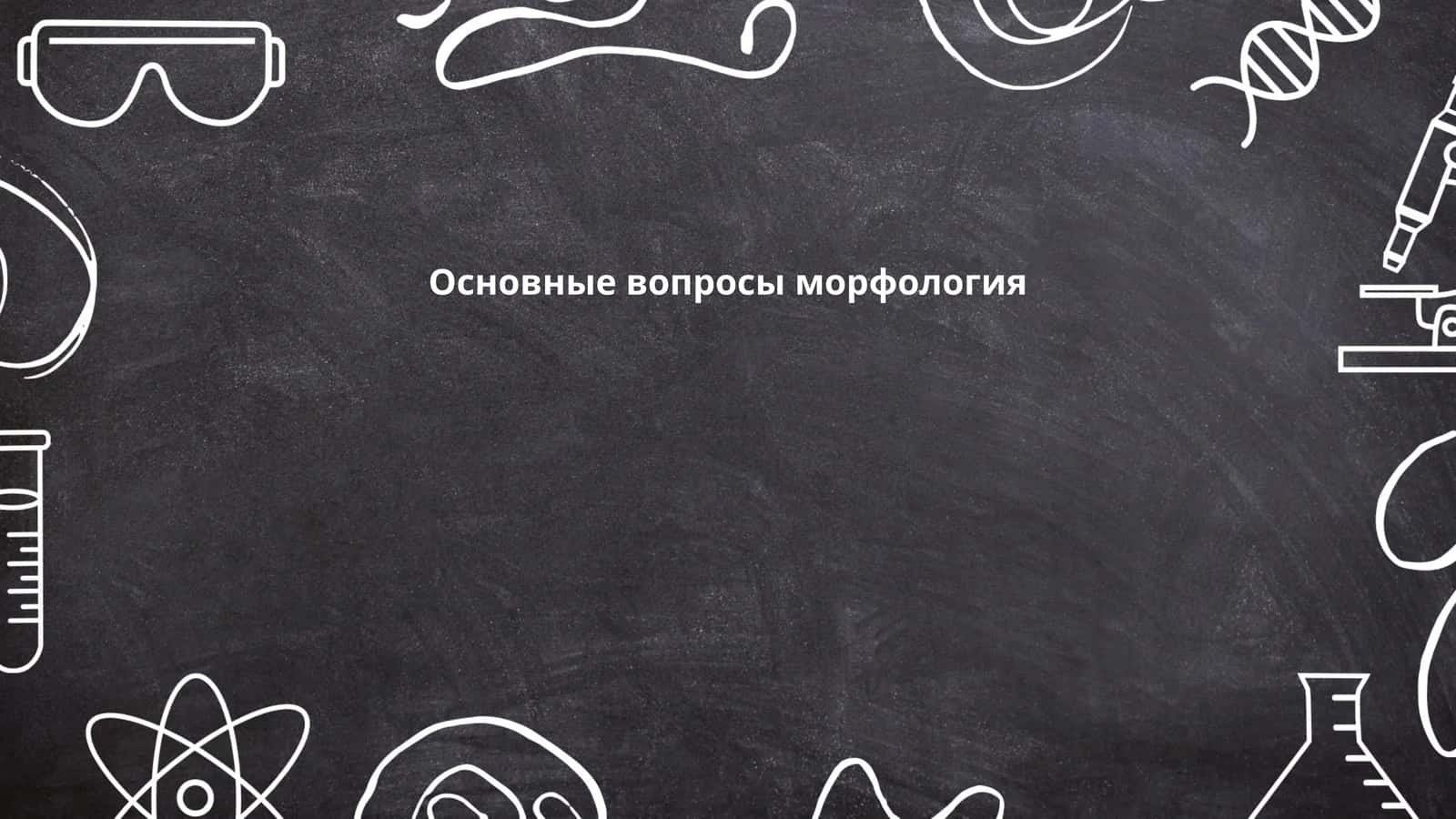 Основные вопросы морфология