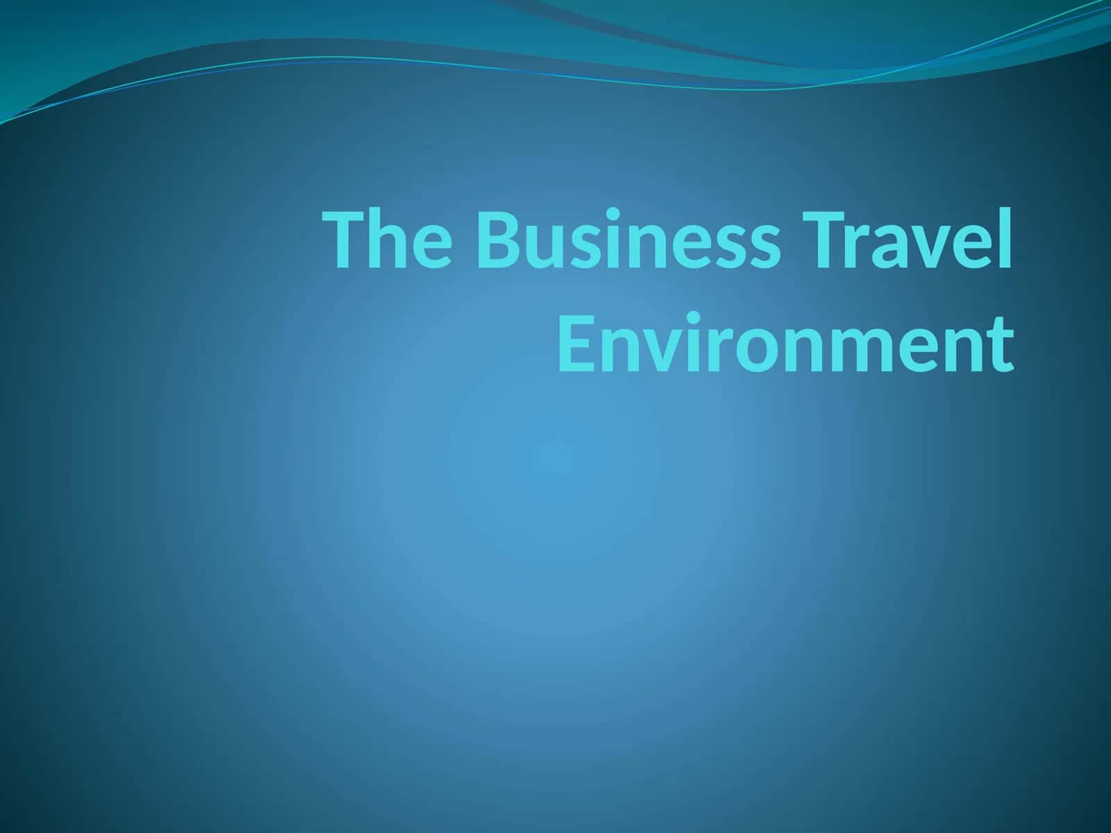 The Business Travel Environment