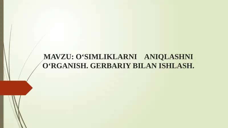 O‘simliklarni Aniqlashni O‘rganish. Gerbariy Bilan Ishlash