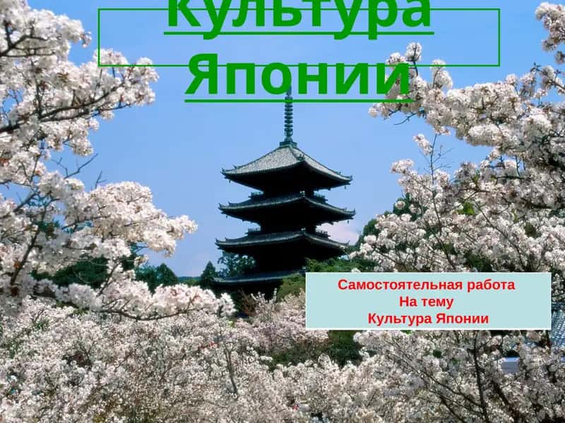Культура Японии