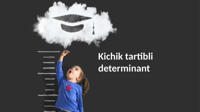 Kichik tartibli determinant