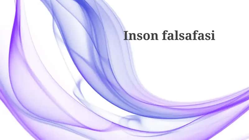 Insonfalsafasi