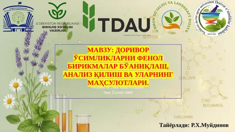 ДОРИВОР ЎСИМЛИКЛАРНИ ФЕНОЛ БИРИКМАЛАР БЎАНИҚЛАШ, АНАЛИЗ ҚИЛИШ ВА УЛАРНИНГ МАҲСУЛОТЛАРИ.