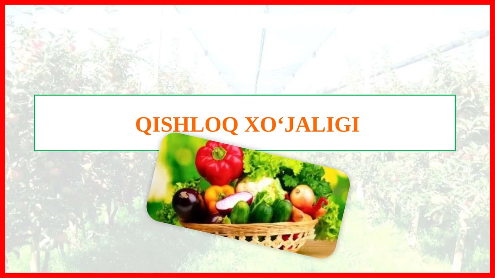 QISHLOQ XO‘JALIGI