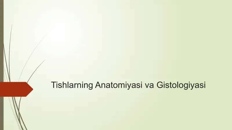 tishlar anatomiyasi va gistalogiyasi
