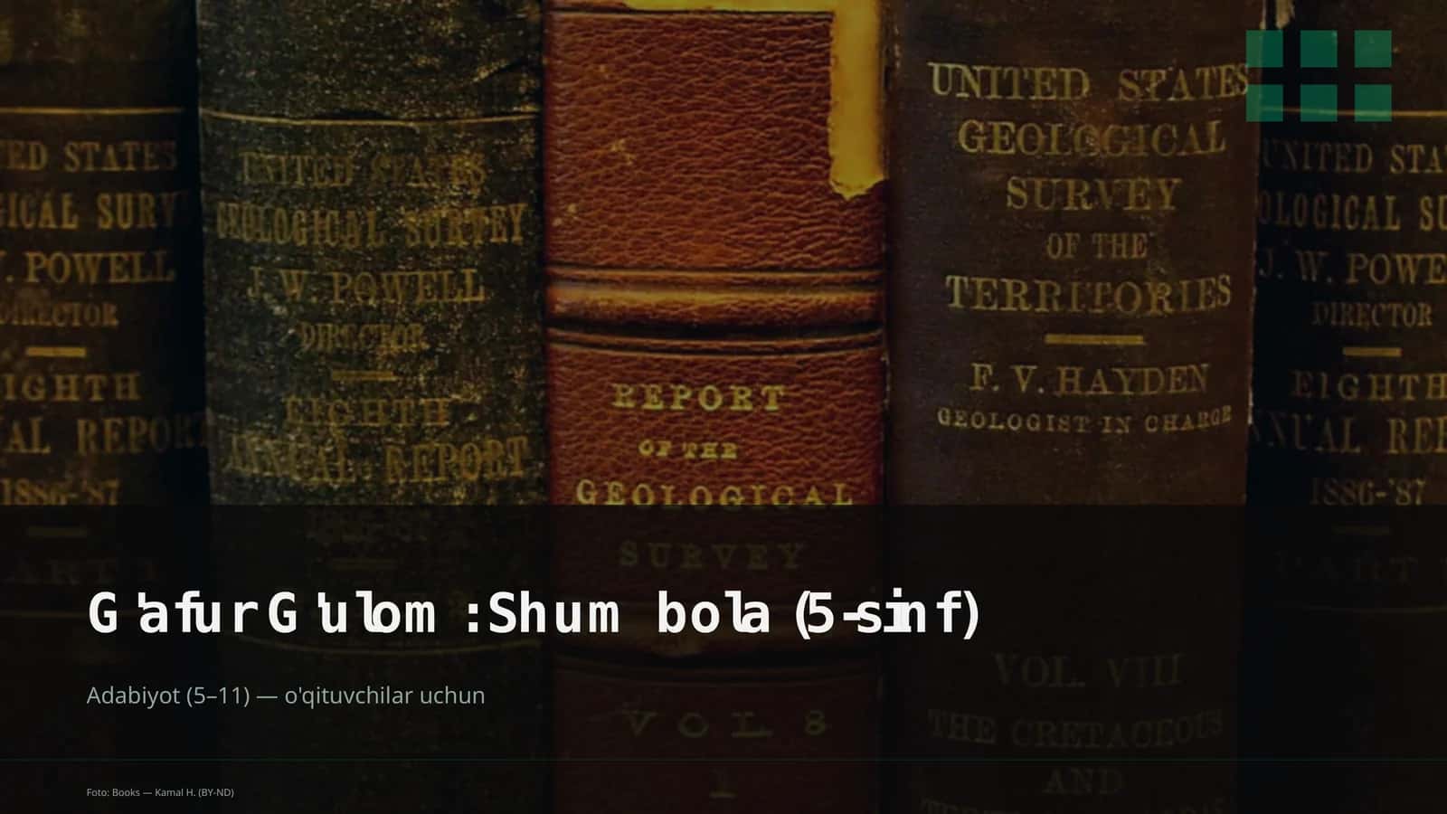 G'afur G'ulom: Shum bola (5-sinf)