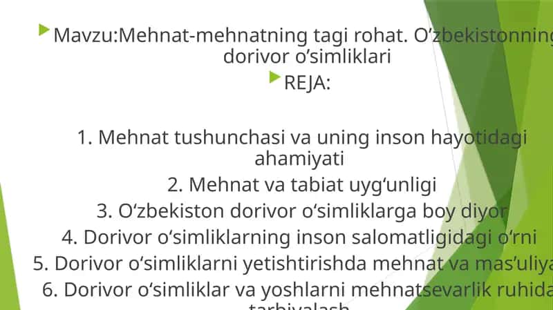 Mehnat-mehnatning tagi rohat. O’zbekistonning dorivor o’simliklari