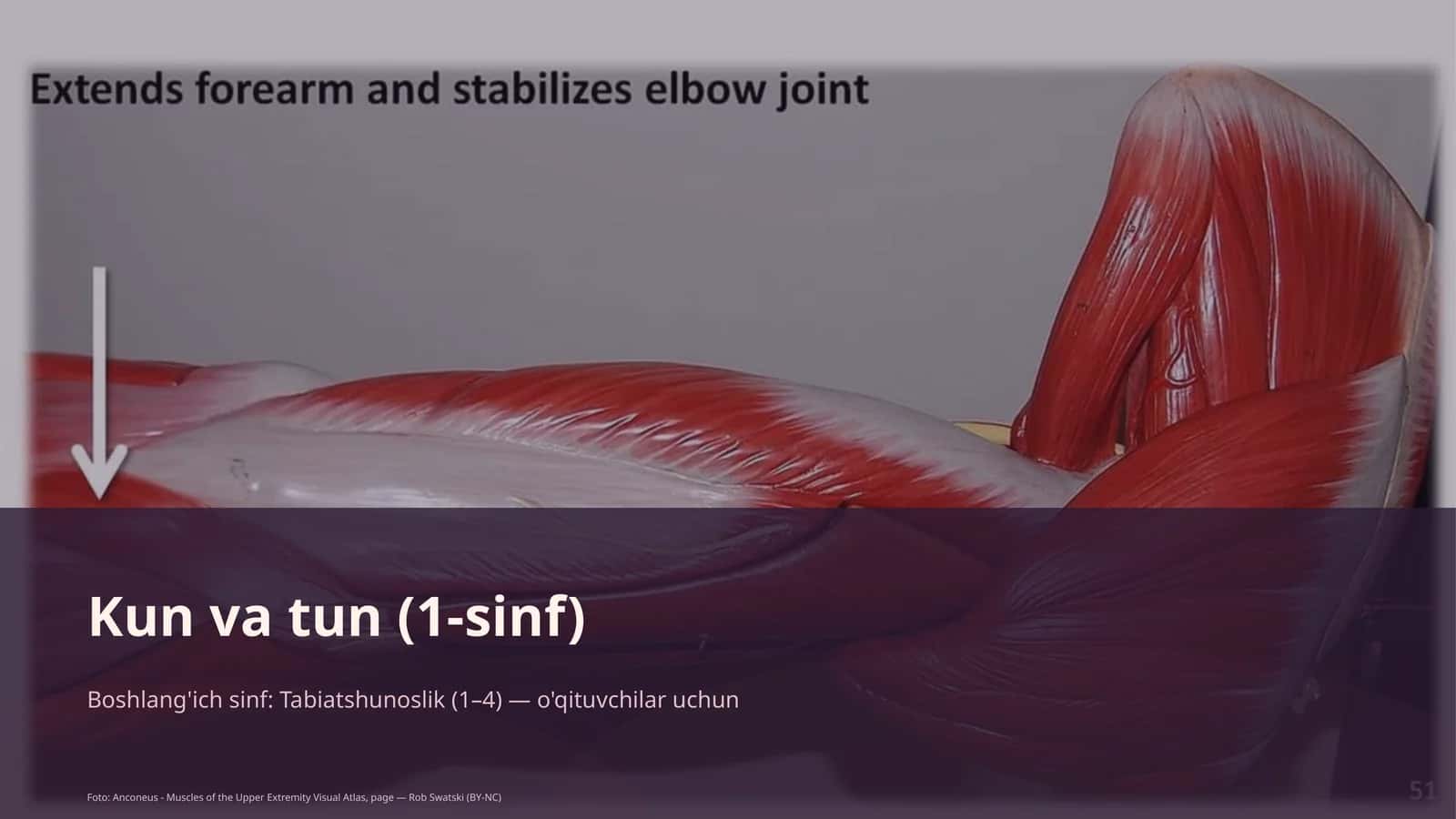 Kun va tun (1-sinf)