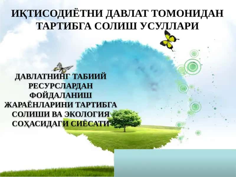 Davlatning tabiiy rеsurslardan foydalanish jarayonlarini tartibga solishi va ekologiya sohasidagi siyosati