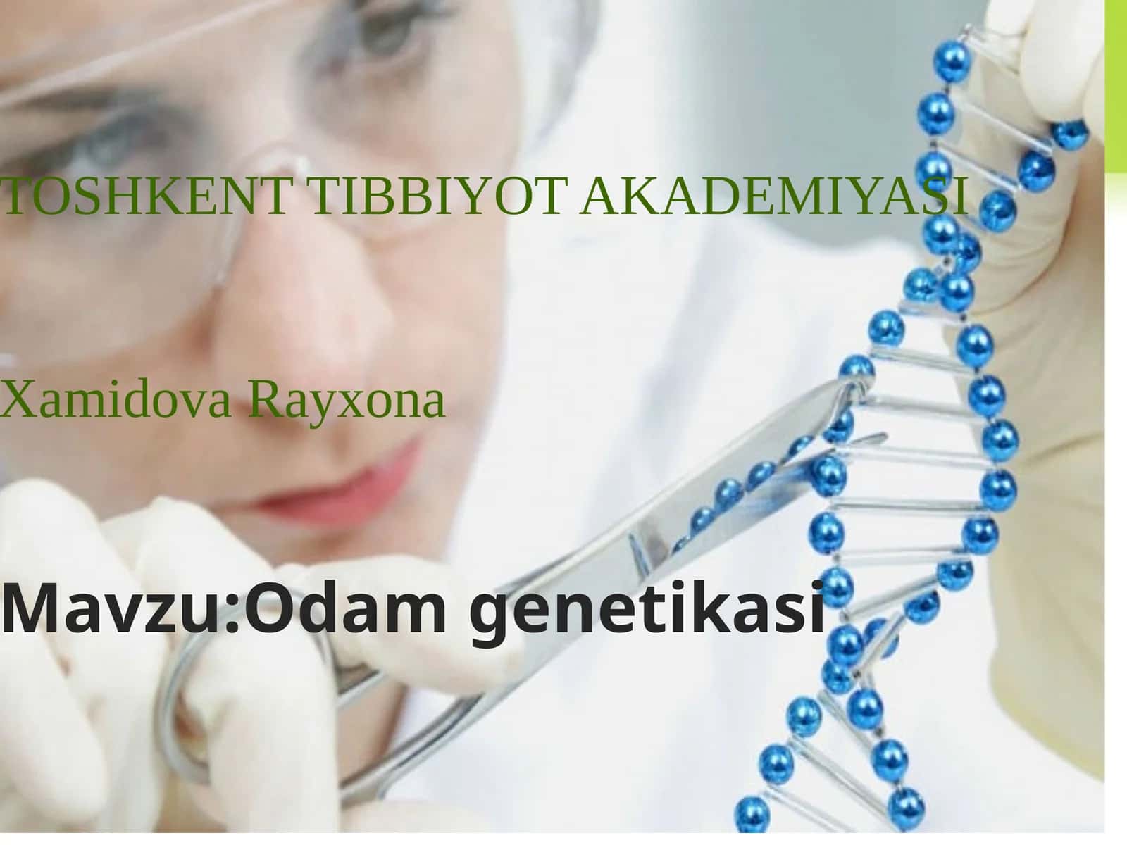 Xamidova Rayxona