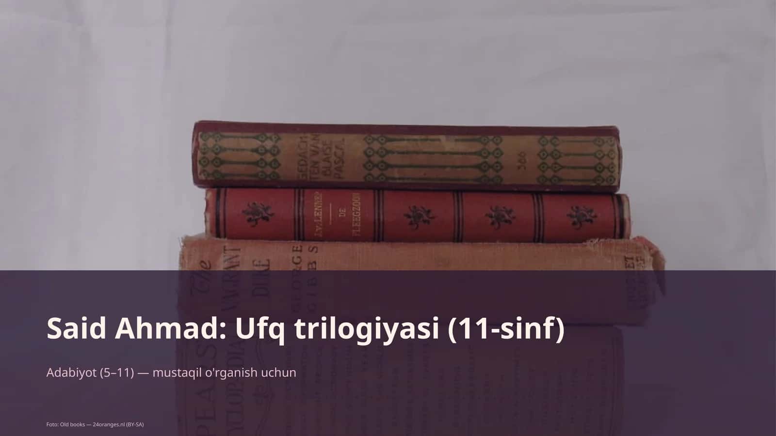 Said Ahmad: Ufq trilogiyasi (11-sinf)
