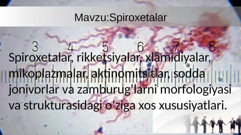 Spiroxetalar, rikketsiyalar, xlamidiyalar, mikoplazmalar, aktinomitsitlar, sodda jonivorlar