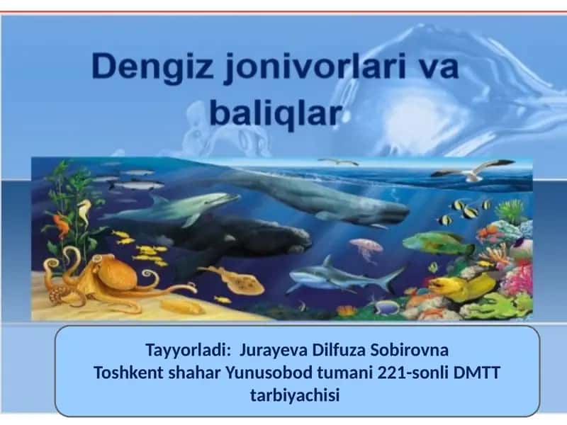 Jurayeva Dilfuza Sobirovna