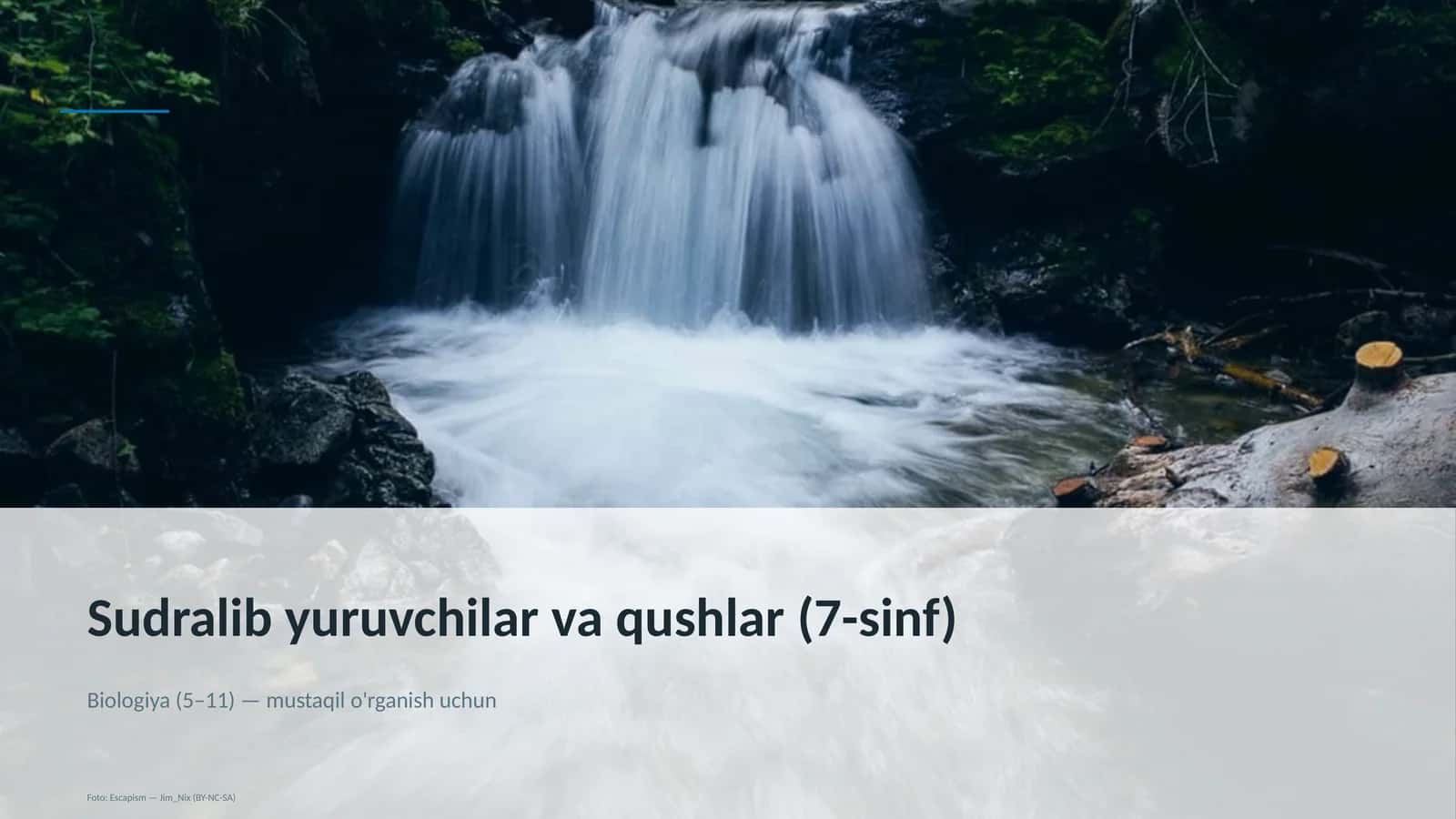 Sudralib yuruvchilar va qushlar (7-sinf)