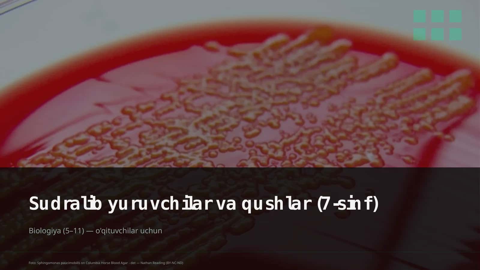 Sudralib yuruvchilar va qushlar (7-sinf)