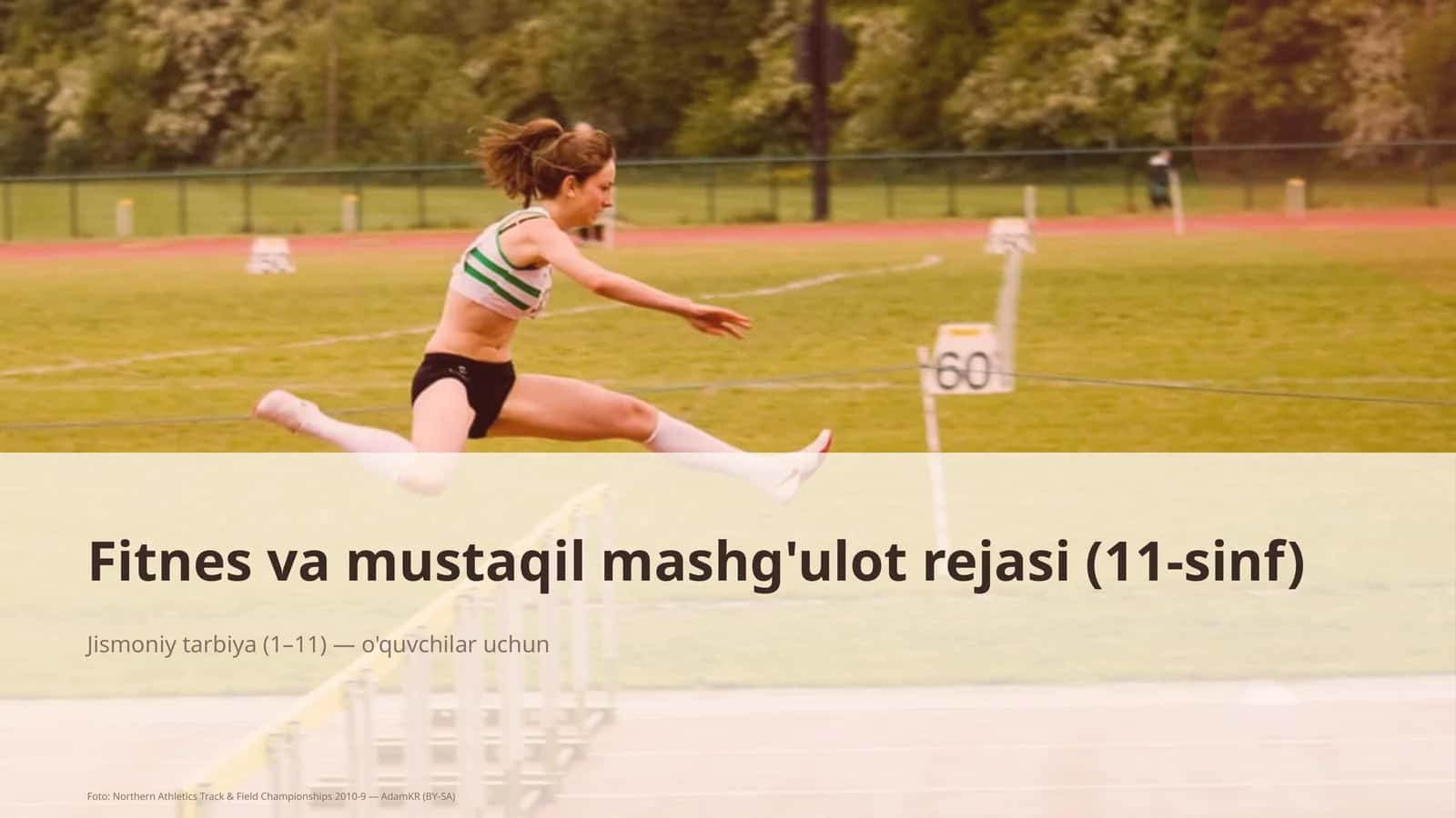 Fitnes va mustaqil mashg'ulot rejasi (11-sinf)