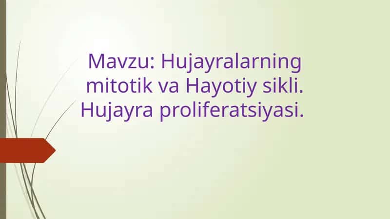 Hujayralarning mitotik va Hayotiy sikli. Hujayra proliferatsiyasi.