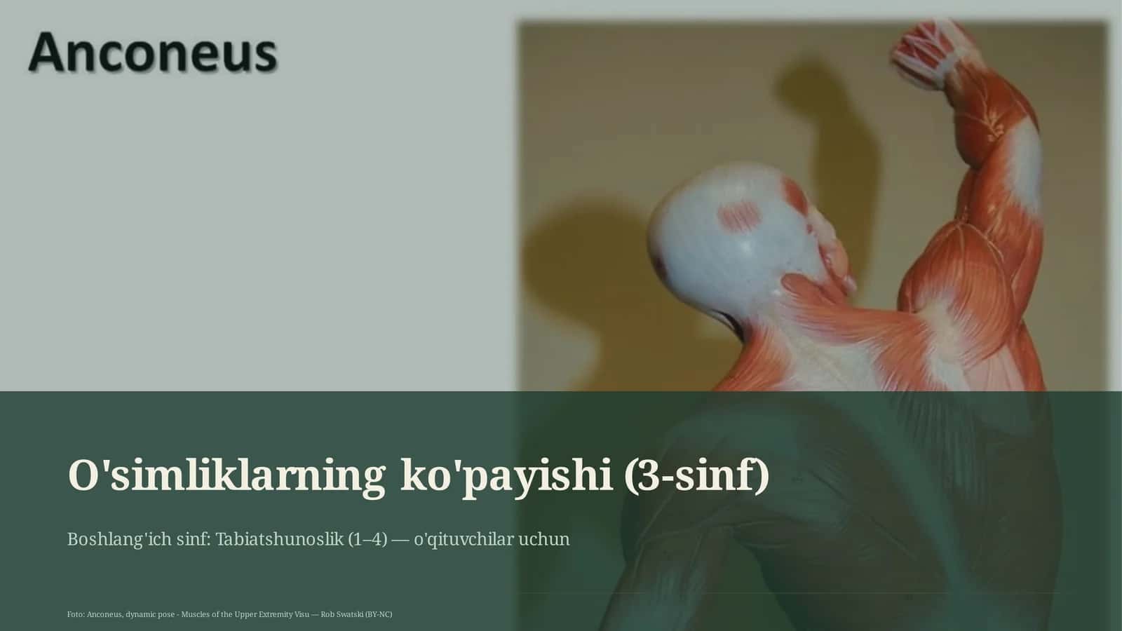 O'simliklarning ko'payishi (3-sinf)