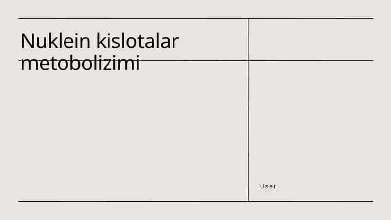 Nuklein kislotalar metobolizimi