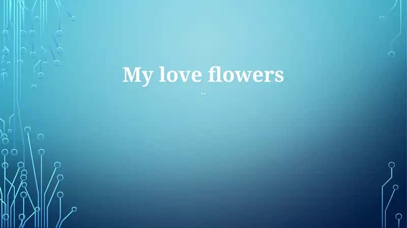My love flowers
